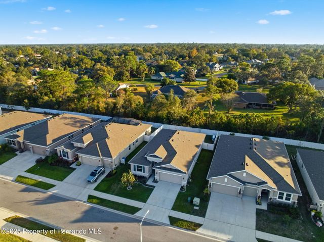 3843 Autumn Amber Dr Drive, Spring Hill, FL 34609