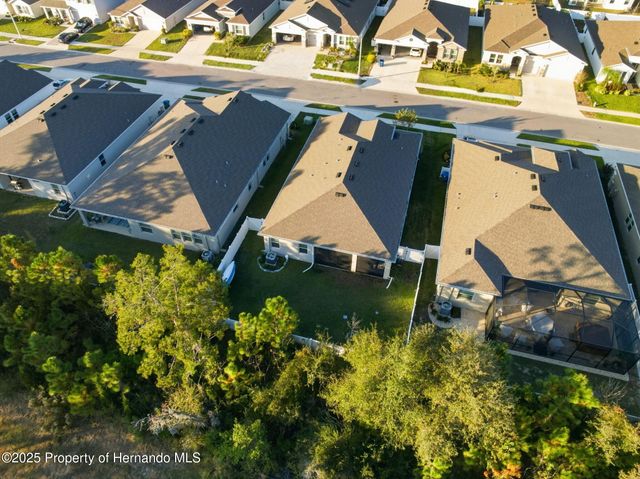 3843 Autumn Amber Dr Drive, Spring Hill, FL 34609