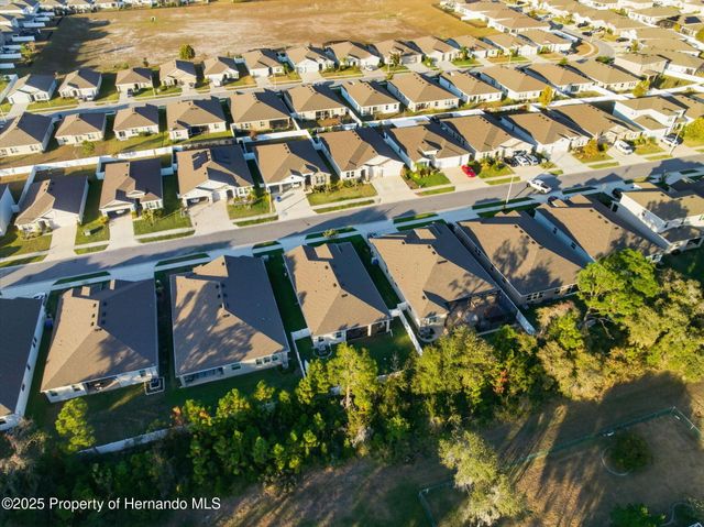 3843 Autumn Amber Dr Drive, Spring Hill, FL 34609