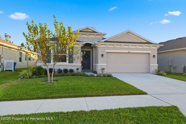 3843 Autumn Amber Dr Drive, Spring Hill, FL 34609