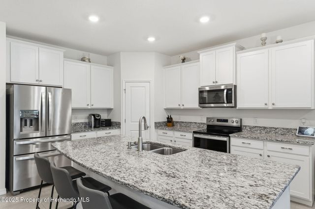 3843 Autumn Amber Dr Drive, Spring Hill, FL 34609