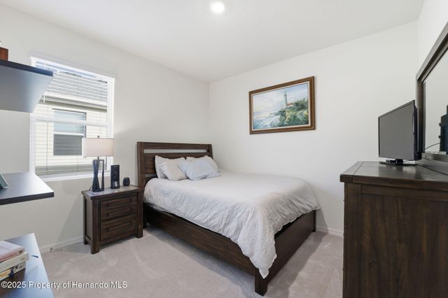 3843 Autumn Amber Dr Drive, Spring Hill, FL 34609