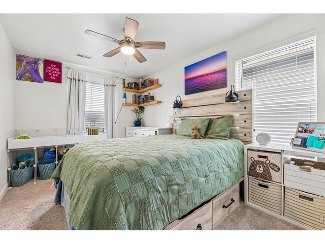 6907 Zig Pl, Frederick, CO 80530