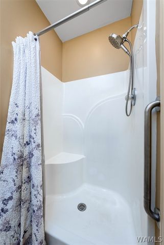16671 LANEY, Vance, AL 35490