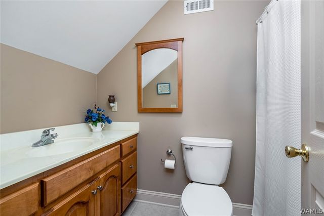 16671 LANEY, Vance, AL 35490