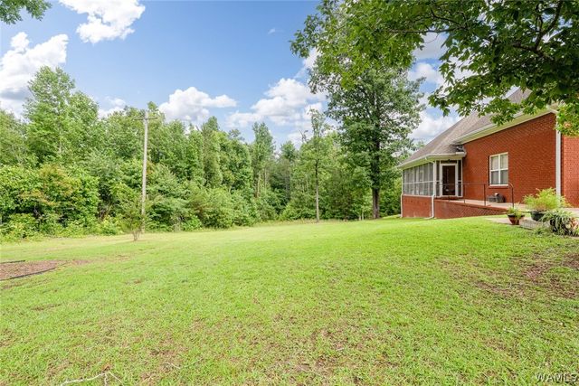 16671 LANEY, Vance, AL 35490