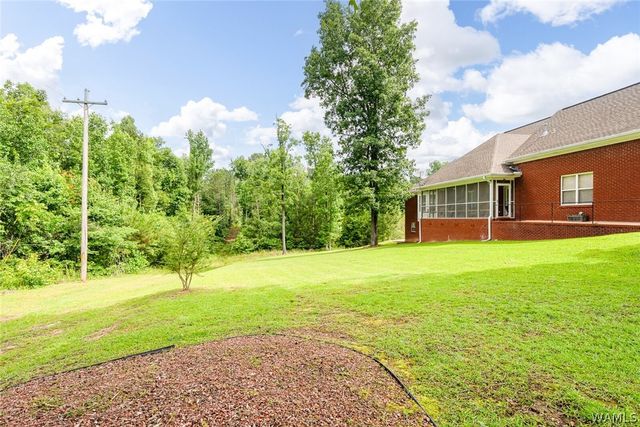 16671 LANEY, Vance, AL 35490