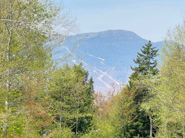2366 Mountain Rd Apt 3, Stowe, VT 05672
