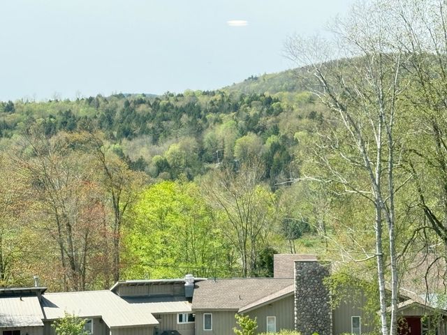 2366 Mountain Rd Apt 3, Stowe, VT 05672