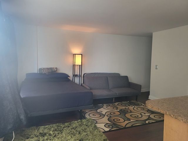 6171 N Sheridan Road 1308, Chicago, IL 60660