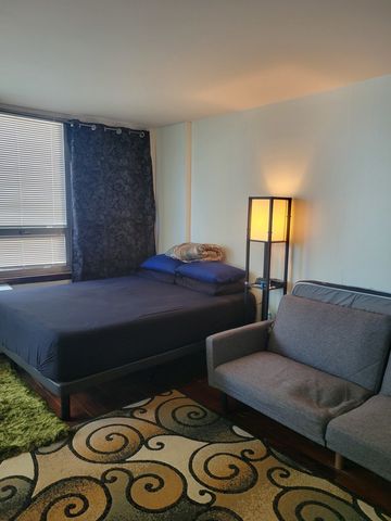 6171 N Sheridan Road 1308, Chicago, IL 60660