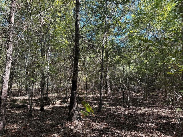 TBD Somerset Trail Road, Point Blank, TX 77364
