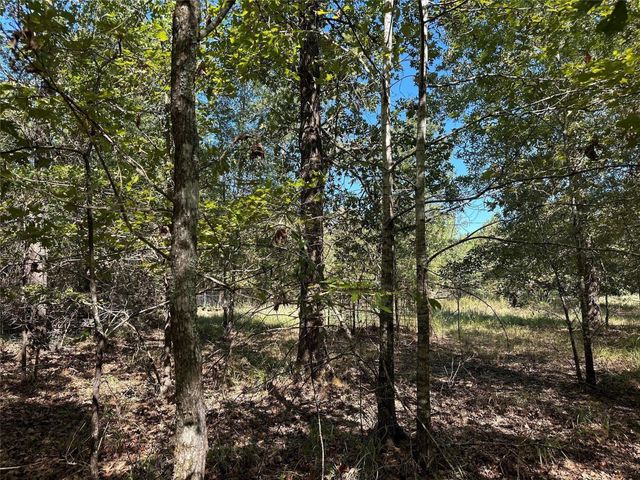 TBD Somerset Trail Road, Point Blank, TX 77364