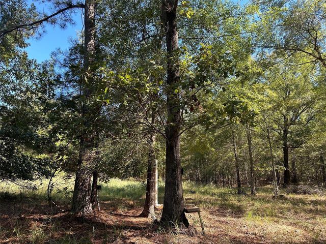 TBD Somerset Trail Road, Point Blank, TX 77364