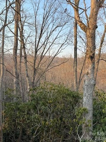 910 Morgan Hill Road, Black Mountain, NC 28711