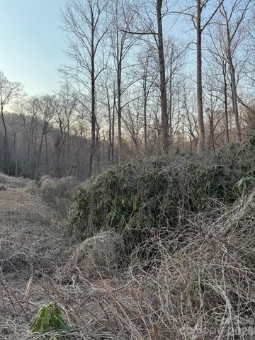 910 Morgan Hill Road, Black Mountain, NC 28711