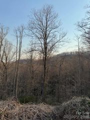 910 Morgan Hill Road, Black Mountain, NC 28711