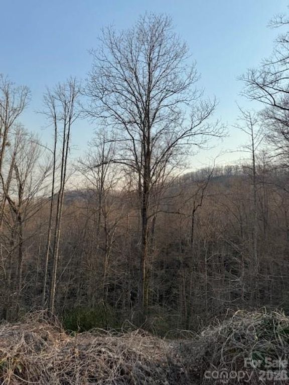 910 Morgan Hill Road, Black Mountain, NC 28711