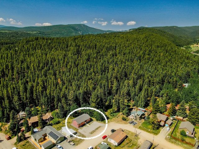 788 W 4th St, Nederland, CO 80466