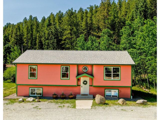 788 W 4th St, Nederland, CO 80466
