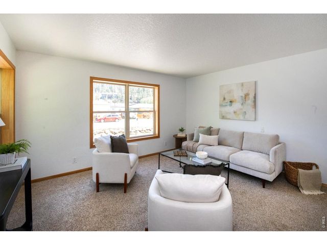 788 W 4th St, Nederland, CO 80466