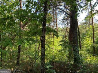 1335 Birch Lane, Ranger, GA 30734