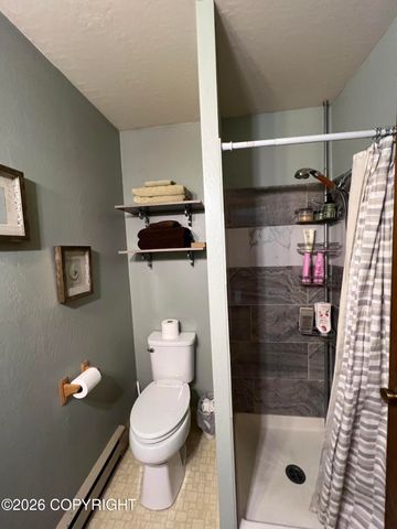 1075 N Shenandoah Drive, Wasilla, AK 99645