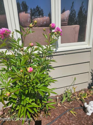 1075 N Shenandoah Drive, Wasilla, AK 99645