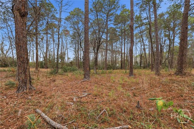 208 Timberline Road, Statesboro, GA 30461