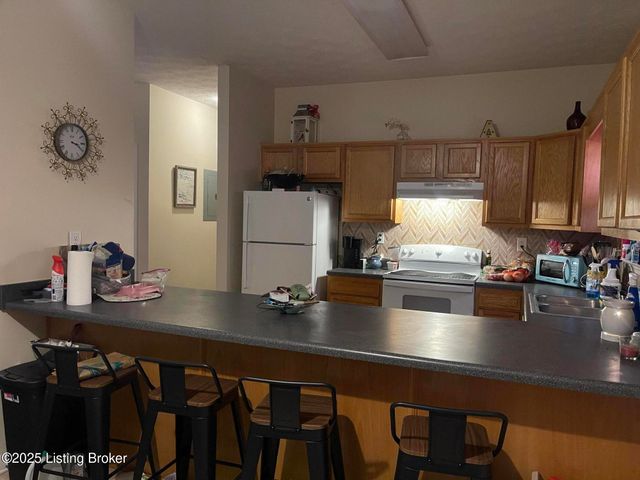 1607 Young Ct, Louisville, KY 40211