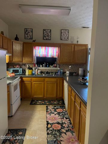 1607 Young Ct, Louisville, KY 40211