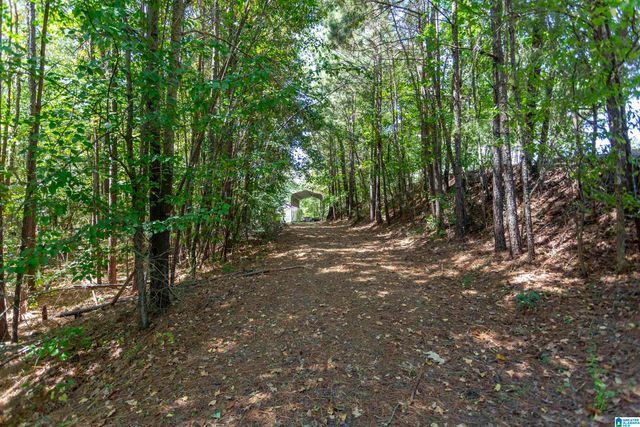 1901 LAKESIDE DRIVE, Mccalla, AL 35111