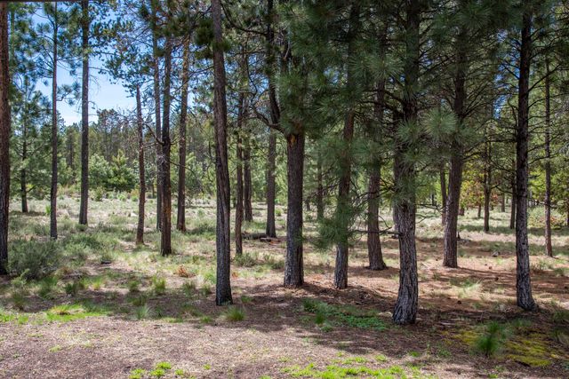 56222 Trailmere Circle, Bend, OR 97707