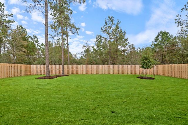 1768 Howler Way, Todd Mission, TX 77316