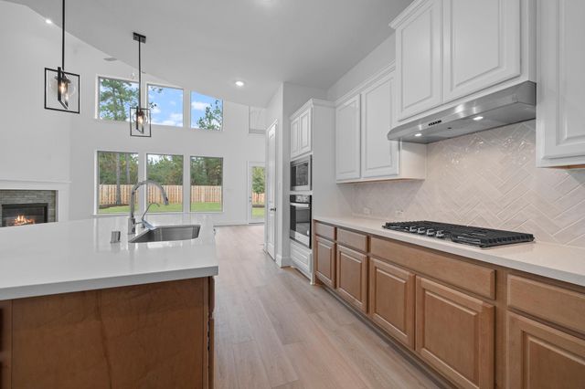 1768 Howler Way, Todd Mission, TX 77316