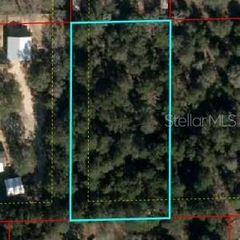 110, Bronson, FL 32621