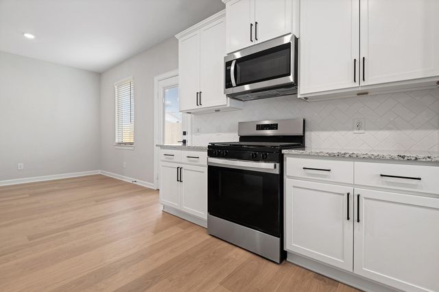 23107 Dadi Orchid Drive, Hockley, TX 77447