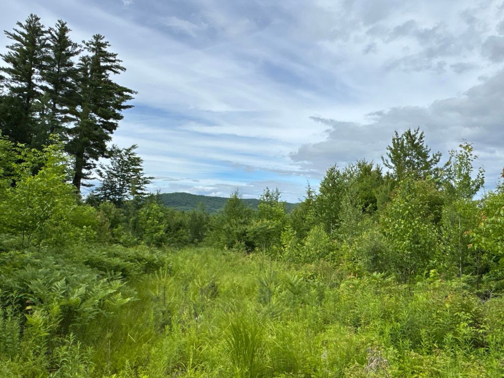 L52 Bridgton Road, Sweden, ME 04040 — exterior
