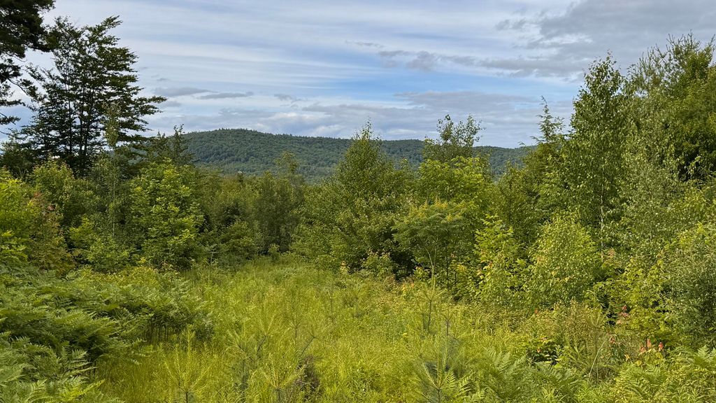 L52 Bridgton Road, Sweden, ME 04040 — photo 4