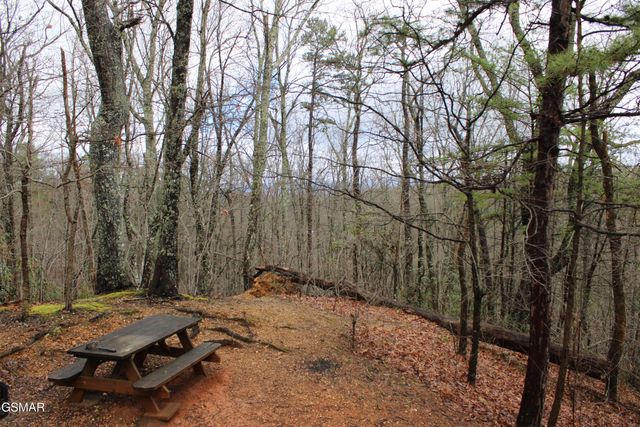 2232 E View Drive, Sevierville, TN 37876