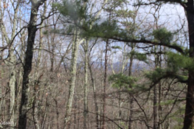 2232 E View Drive, Sevierville, TN 37876