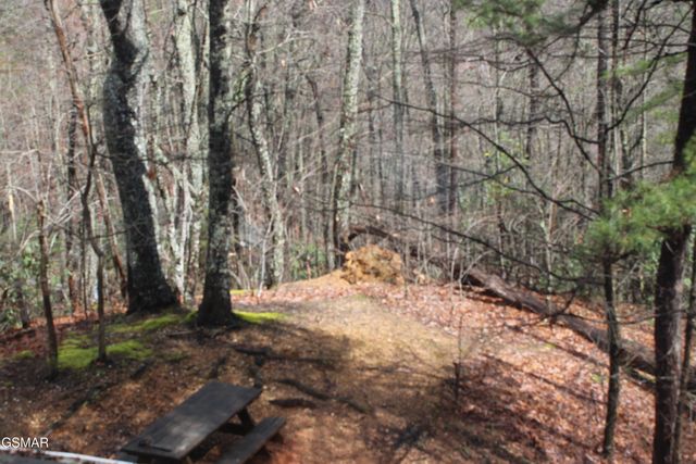 2232 E View Drive, Sevierville, TN 37876