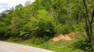 Jones Cove Rd, Sevierville, TN 37876