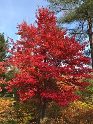 43 Greenville Rd, Townsend, MA 01474