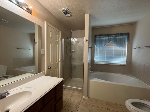 10738 Plum Dale Way, Houston, TX 77034