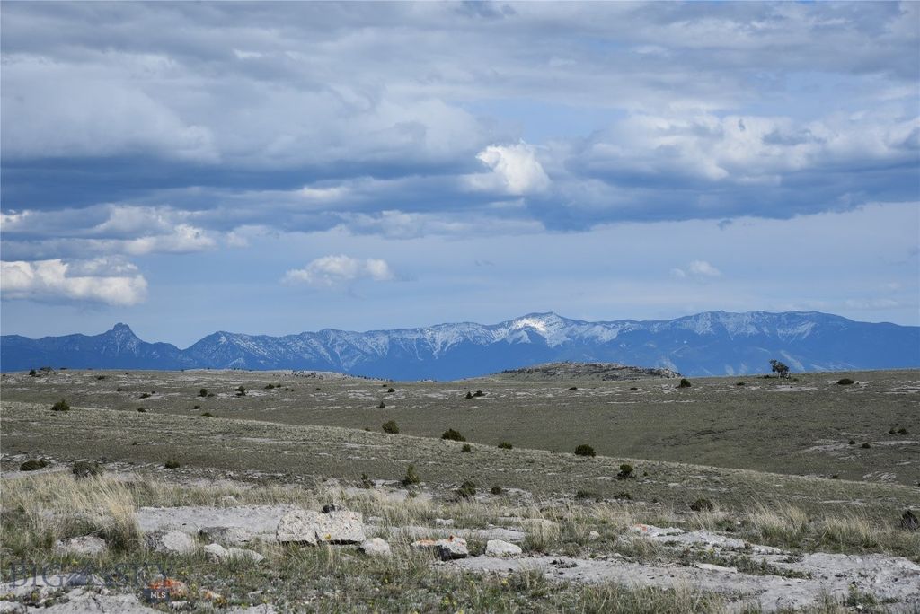 TBD NE Horseshoe Gulch Road Road N, Manhattan, MT 59714 photo 7