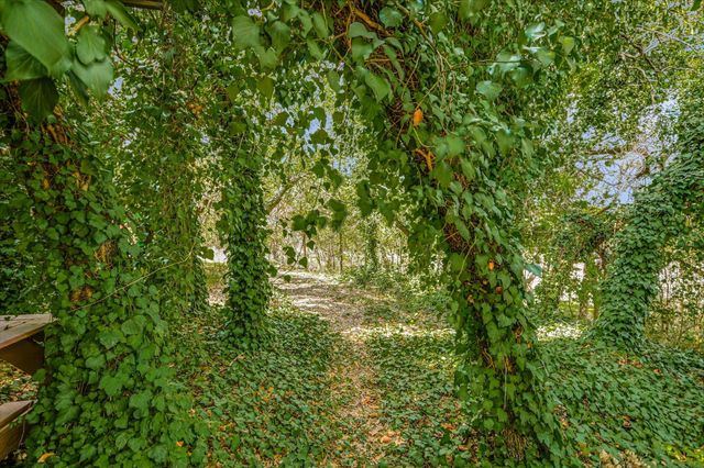 175 Fischer TRL, Wimberley, TX 78676