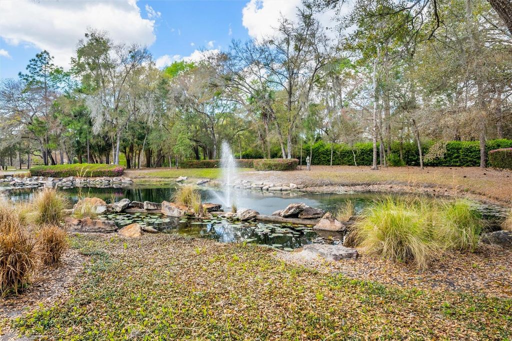Image 50 of property listing at 31778 RED TAIL BOULEVARD, Sorrento, FL 32776