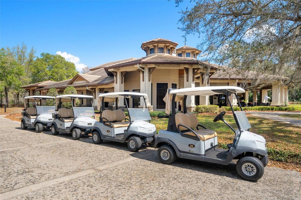 Image 51 of property listing at 31778 RED TAIL BOULEVARD, Sorrento, FL 32776