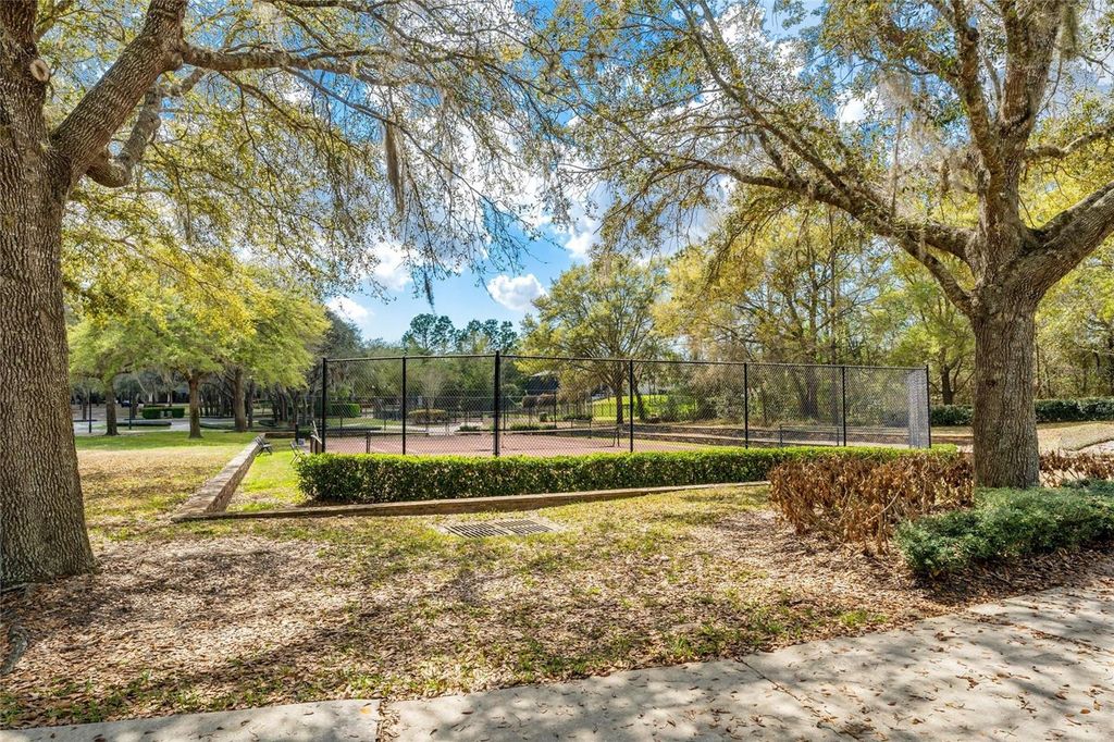 Image 59 of property listing at 31778 RED TAIL BOULEVARD, Sorrento, FL 32776